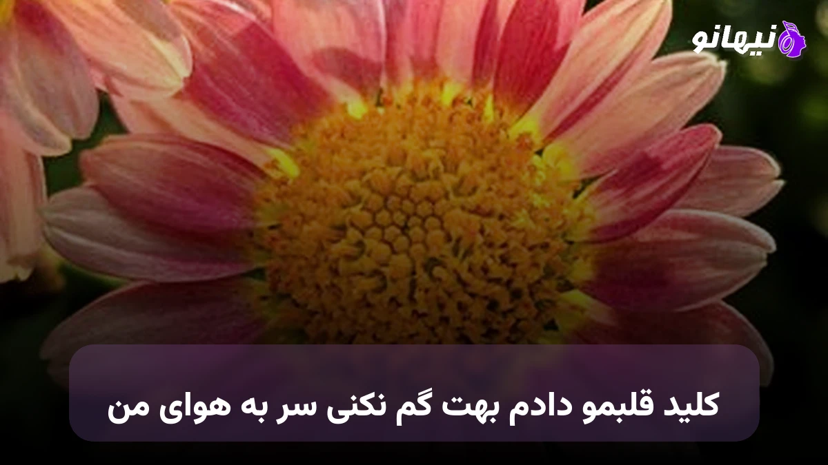دانلود آهنگ کلید قلبمو دادم بهت گم نکنی سر به هوای من هایده